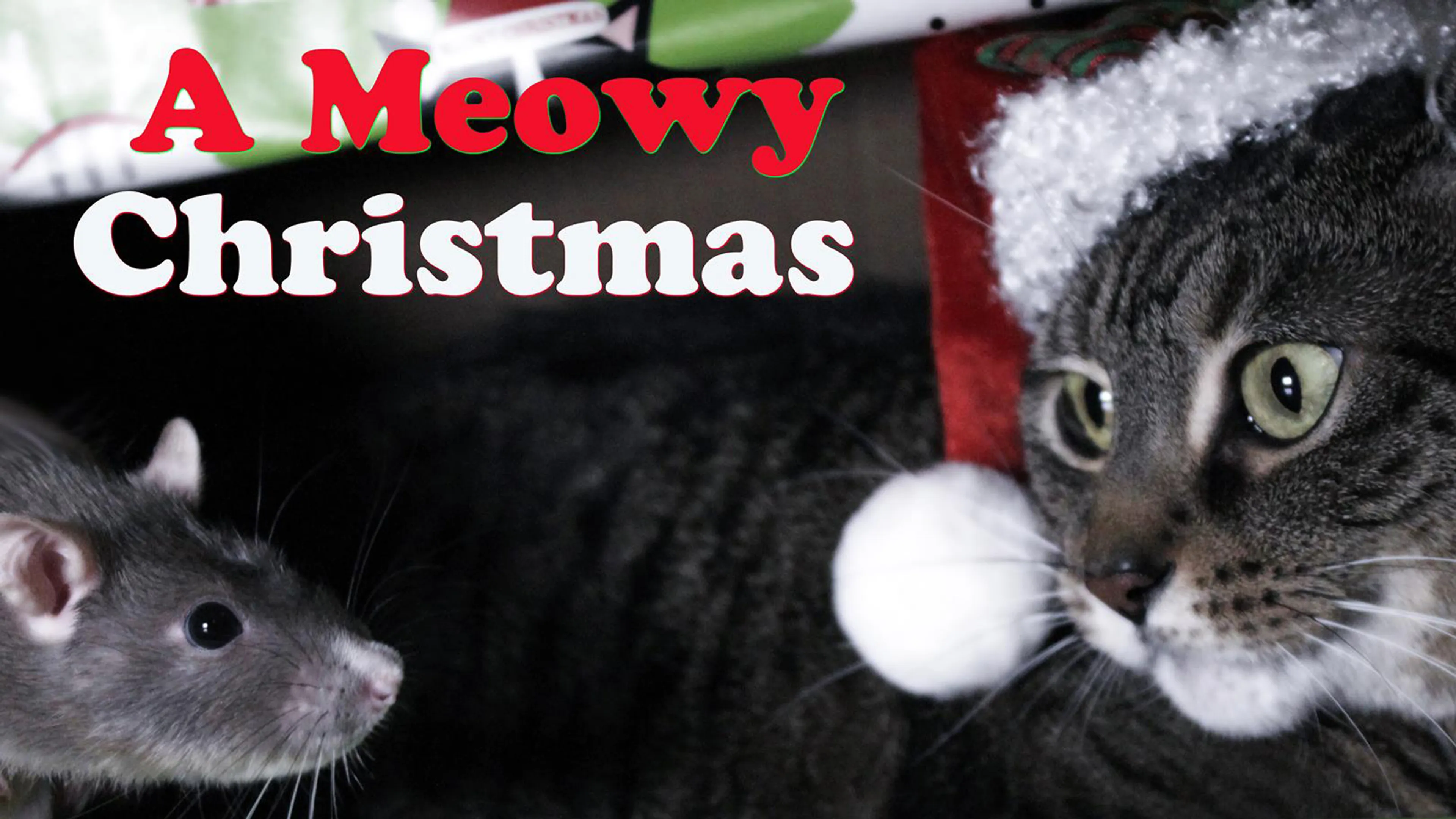 A Meowy Christmas poster